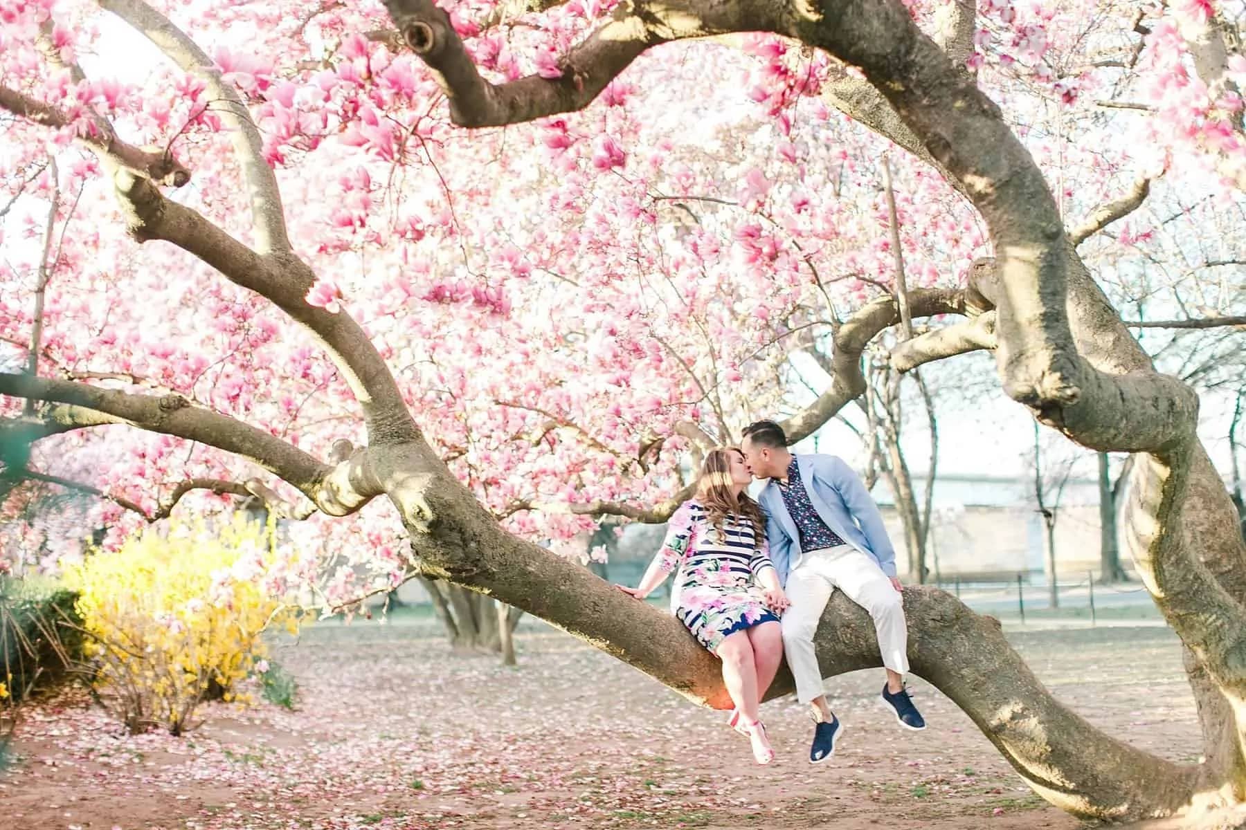 Cherry Blossom Engagement