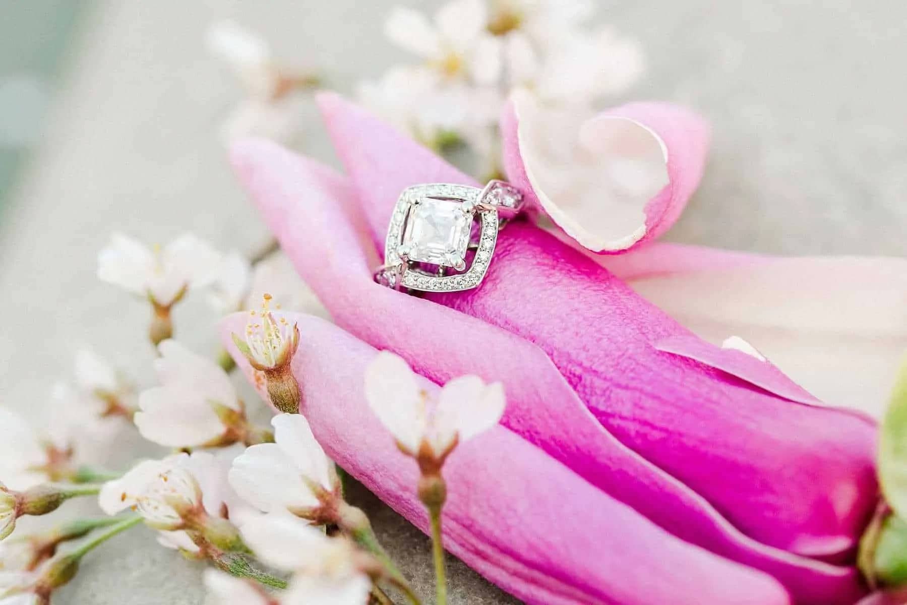 Cherry Blossom Engagement