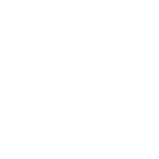 Master newborn Photographer