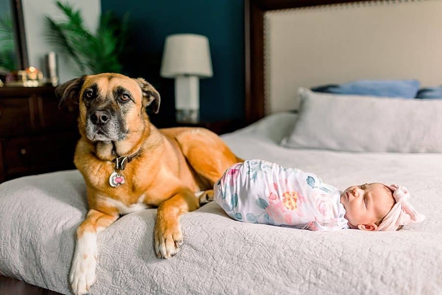 baby girl with family dog 